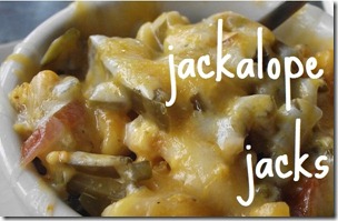 jackalopes